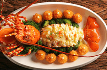 ��⿹�����Ӫ��