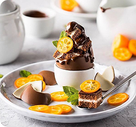 ��ɭ��ʶ������ѵ